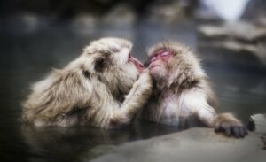 a gentile kiss in the hot tub-l