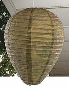 decoy wasp nest