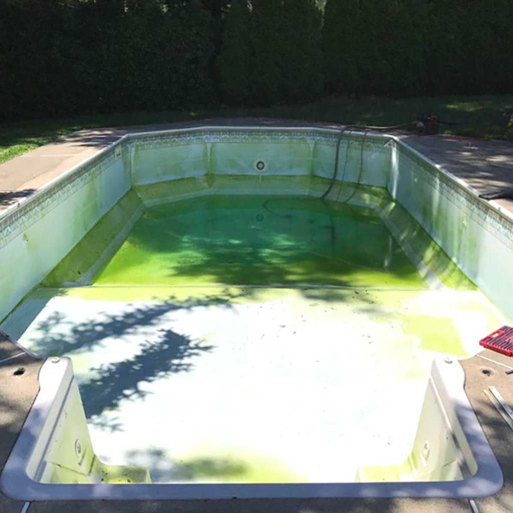 Algae Stained Before 1