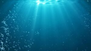 Essential Pool Water Maintenance Tips During Wildfire Season