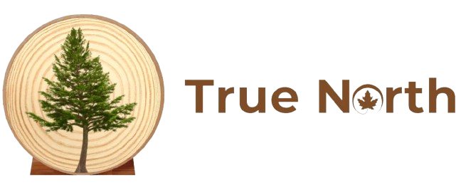 true north logo