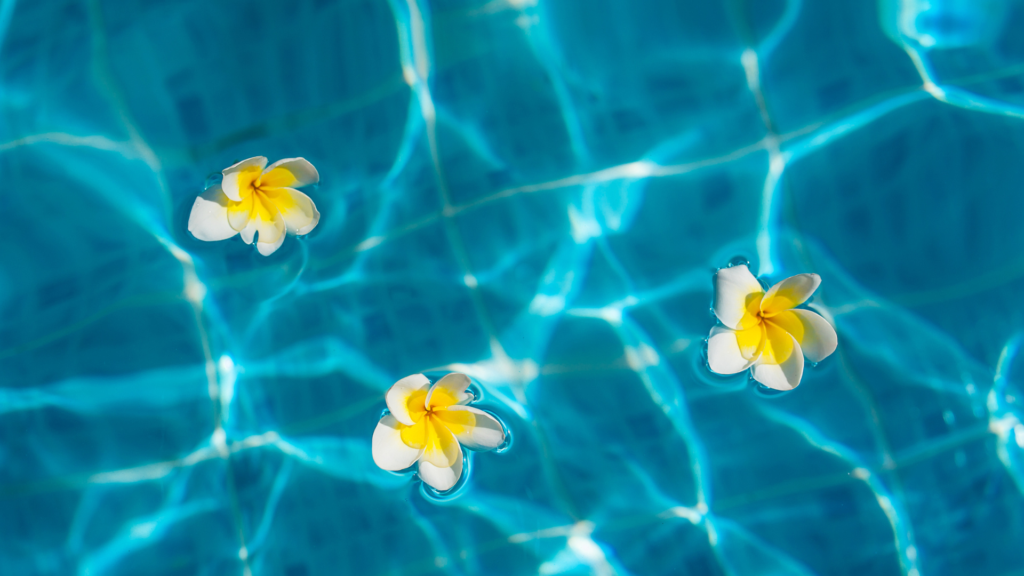 planning your pool why spring is the smartest time to buy a pool in manitoba cover