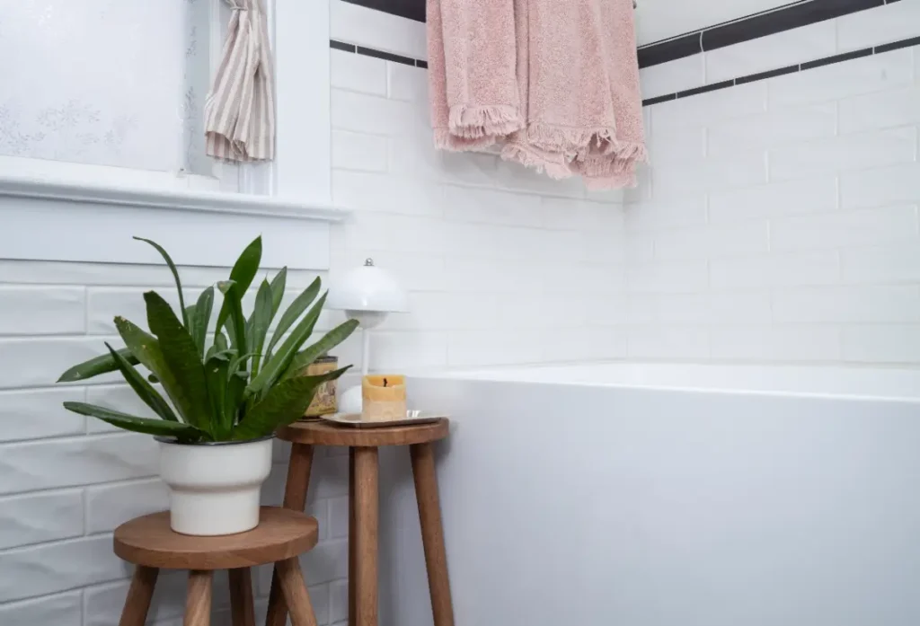 walk-in shower vs bathtub