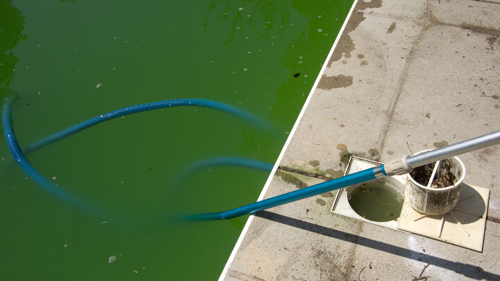 very green pool water 1024x576 1