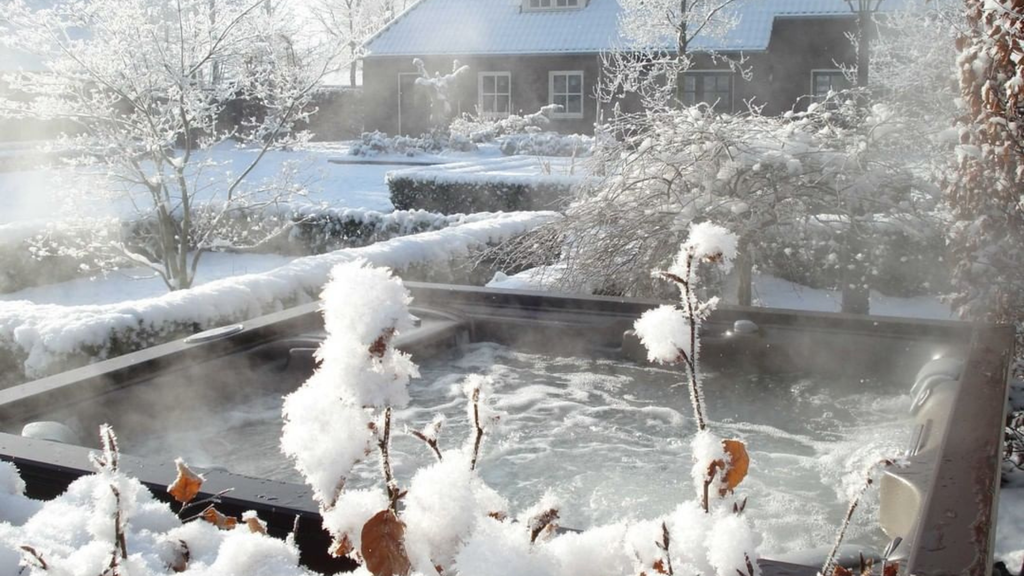 a photo of a hot tub in a snowy backyard. there is steam coming off of the water, and in the foreground of the image there and frost covered plants with brownish leaved obscuring parts of the tub. in the far background there is a house and some hedges.